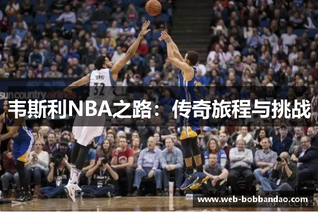 韦斯利NBA之路：传奇旅程与挑战
