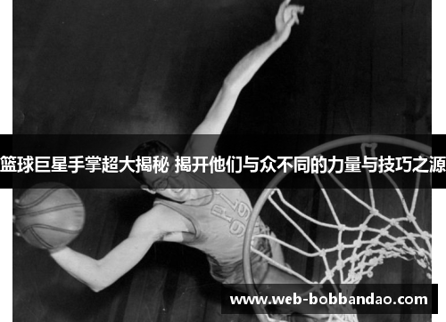 篮球巨星手掌超大揭秘 揭开他们与众不同的力量与技巧之源